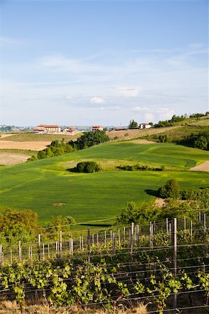 Landscape of Monferrato area in Piedmont region - Italy Stock Photo - Budget Royalty-Free & Subscription, Code: 400-04385887