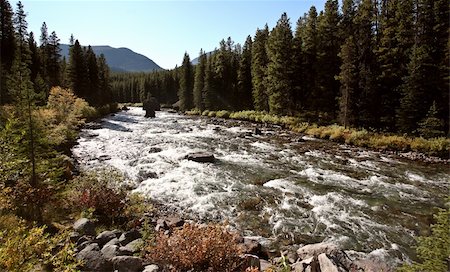 Maligne River in Jasper National Park Stock Photo - Budget Royalty-Free & Subscription, Code: 400-04385916