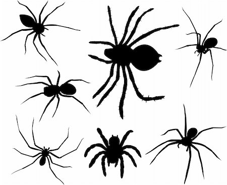 simsearch:400-08200203,k - Spiders silhouettes collection - vector Foto de stock - Royalty-Free Super Valor e Assinatura, Número: 400-04385948