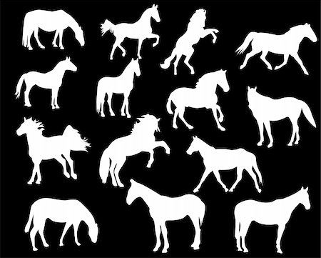simsearch:400-04397242,k - horses silhouette collection - vector Foto de stock - Super Valor sin royalties y Suscripción, Código: 400-04385971