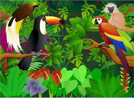 rain forest green animal - vector illustration of animal in the tropical jungle Stock Photo - Budget Royalty-Free & Subscription, Code: 400-04386963