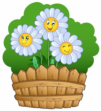 flowers in growing clip art - Three daisies with fence - vector illustration. Stock Photo - Budget Royalty-Free & Subscription, Code: 400-04387309