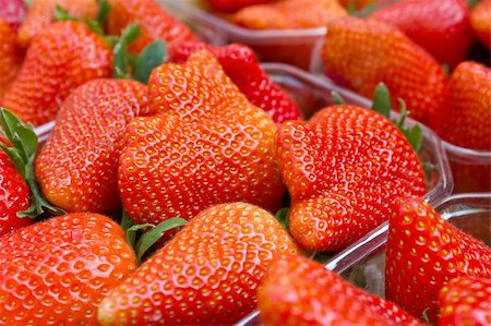 simsearch:400-06140437,k - Strawberries Stockbilder - Microstock & Abonnement, Bildnummer: 400-04387653