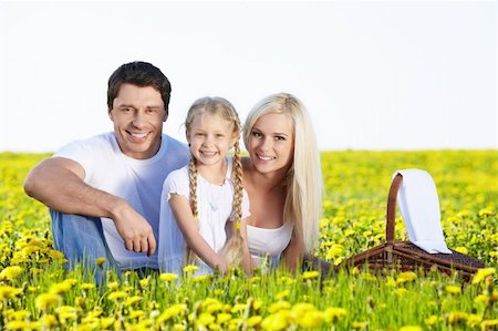 family picnic field - Family on a picnic in the lush field Stock Photo - Budget Royalty-Free & Subscription, Code: 400-04387696