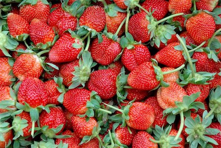 simsearch:400-04513818,k - fresh strawberry Stock Photo - Budget Royalty-Free & Subscription, Code: 400-04389477