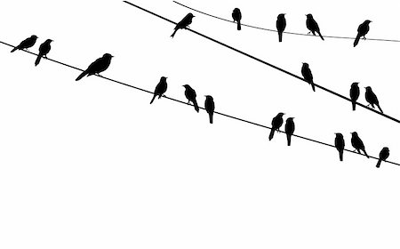 dreaming about eating - Vector illustration of birds on wire Foto de stock - Super Valor sin royalties y Suscripción, Código: 400-04380011