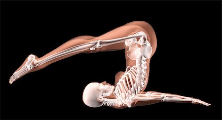 3D render of a female medical skeleton in a yoga position Foto de stock - Super Valor sin royalties y Suscripción, Código: 400-04380051