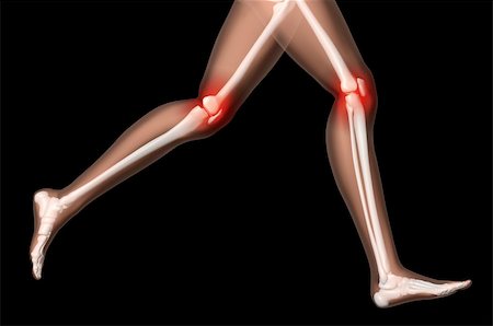 3D render of the legs of a female medical skeleton with knee joints highlighted Foto de stock - Super Valor sin royalties y Suscripción, Código: 400-04380052