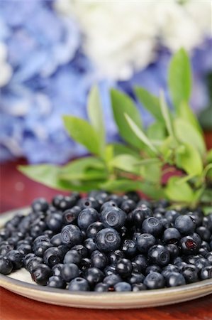 simsearch:400-04709478,k - Close-up of fresh wild blueberries on a plate. Shallow DOF Foto de stock - Super Valor sin royalties y Suscripción, Código: 400-04380230