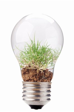 simsearch:400-07464142,k - Grass and soil in a light bulb isolated on a white background. Foto de stock - Super Valor sin royalties y Suscripción, Código: 400-04380305