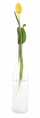 florist background - yellow tulip in glass bottle on white background Stock Photo - Budget Royalty-Free & Subscription, Code: 400-04382134