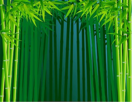 Bamboo forest background Stock Photo - Budget Royalty-Free & Subscription, Code: 400-04382568