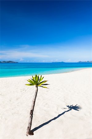 simsearch:400-04334311,k - Tropical sandy beach Malcapuya at summer sunny day Stockbilder - Microstock & Abonnement, Bildnummer: 400-04382962