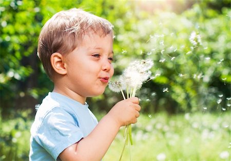 Cute 2 years old boy with dandelion outdoors at sunny summer day Foto de stock - Super Valor sin royalties y Suscripción, Código: 400-04382983