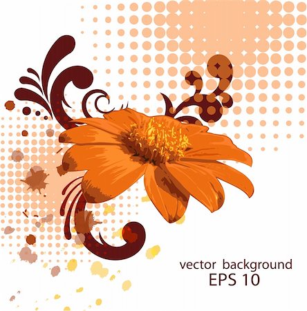 Abstract vector background wiht zinnia, eps10 Stock Photo - Budget Royalty-Free & Subscription, Code: 400-04383031