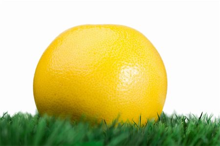 simsearch:400-05316300,k - Grapefruit on grass on a white background Stock Photo - Budget Royalty-Free & Subscription, Code: 400-04383117