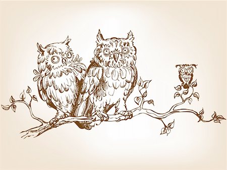 Three hand drawn funny owls, sitting on tree  branch. Photographie de stock - Aubaine LD & Abonnement, Code: 400-04383294