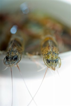 simsearch:400-07044537,k - raw fresh alive shrimps on a bowl over white background Foto de stock - Super Valor sin royalties y Suscripción, Código: 400-04383385