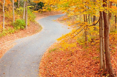 Winding alley in the fall park in Indiana Stock Photo - Budget Royalty-Free & Subscription, Code: 400-04394206