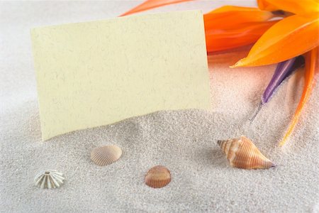 Blank card with a bird of paradise flower (lat. Strelitzia reginae) on sand and shells (Selective Focus, Focus on the card) Stock Photo - Budget Royalty-Free & Subscription, Code: 400-04394346