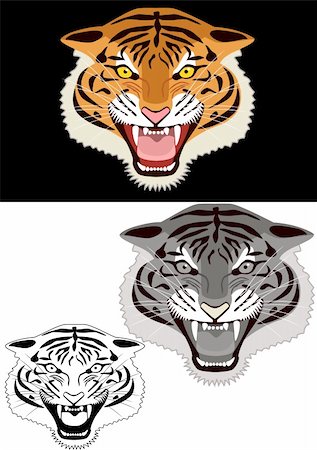 siberian wild animals - Vector illustration of Tiger head illustration Stock Photo - Budget Royalty-Free & Subscription, Code: 400-04394363