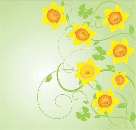 simsearch:400-05103248,k - Vector illustration of daffodil frame Stock Photo - Budget Royalty-Free & Subscription, Code: 400-04394415