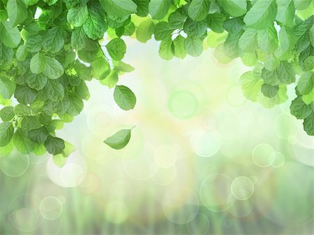 simsearch:400-05719903,k - Spring Background With Leaves and brokeh effect background Stock Photo - Budget Royalty-Free & Subscription, Code: 400-04396171