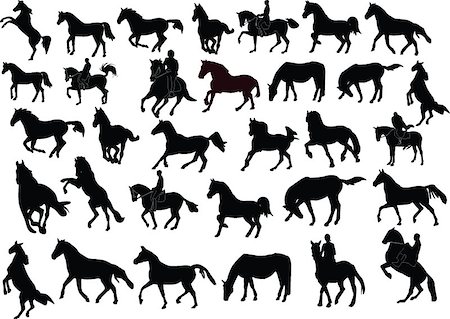 horses collection - vector Stock Photo - Budget Royalty-Free & Subscription, Code: 400-04397241