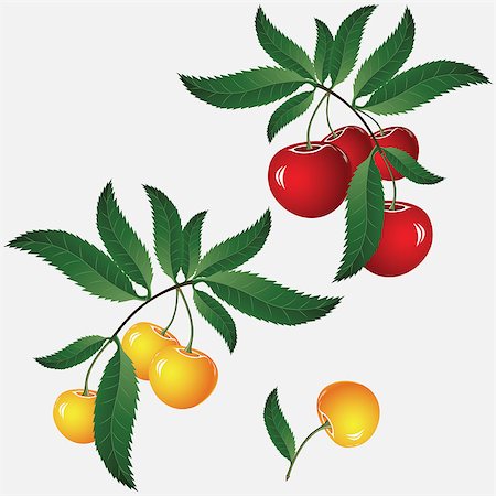 Seamless red cherry background. Vector illustration. Element for design. Stock Photo - Budget Royalty-Free & Subscription, Code: 400-04397436