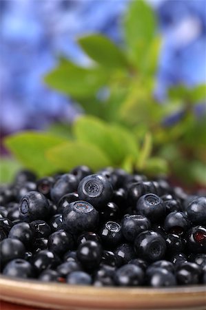 simsearch:400-04709478,k - Close-up of fresh wild blueberries on a plate. Shallow DOF Foto de stock - Super Valor sin royalties y Suscripción, Código: 400-04397455
