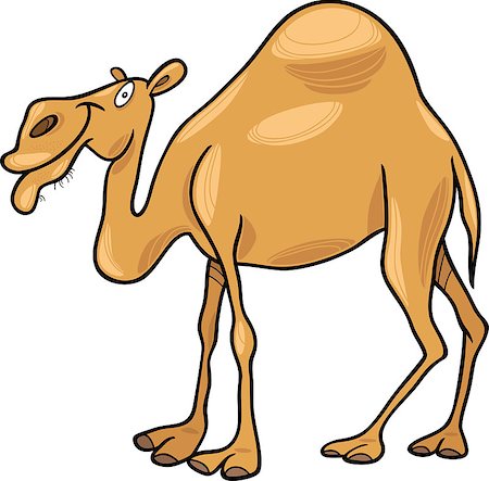 desert drawing - cartoon illustration of dromedary camel Stock Photo - Budget Royalty-Free & Subscription, Code: 400-04397723