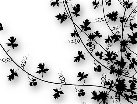 simsearch:400-04397952,k - Editable vector illustration of vines with background shadow made using a gradient mesh Fotografie stock - Microstock e Abbonamento, Codice: 400-04397952