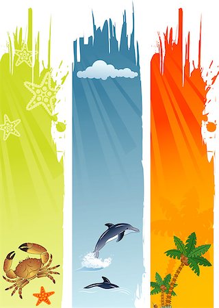 Three summer banner with palm tree, coconut, dolphin, crab, starfish, vector illustration Stock Photo - Budget Royalty-Free & Subscription, Code: 400-04398243