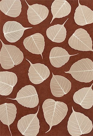 simsearch:400-05678542,k - Skeletal leaves over brown handmade paper - background Foto de stock - Super Valor sin royalties y Suscripción, Código: 400-04398354