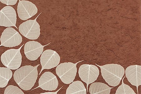 simsearch:400-05678542,k - Skeletal leaves over brown handmade paper - frame Foto de stock - Super Valor sin royalties y Suscripción, Código: 400-04398351