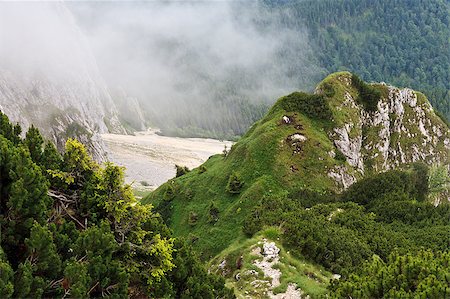 simsearch:400-05219358,k - South ridge of Piatra Craiului Mountains, Romania Photographie de stock - Aubaine LD & Abonnement, Code: 400-04398548