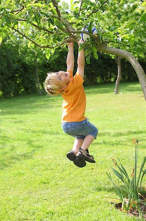 A young boy climbs a tree Stock Photo - Budget Royalty-Free & Subscription, Code: 400-04398723