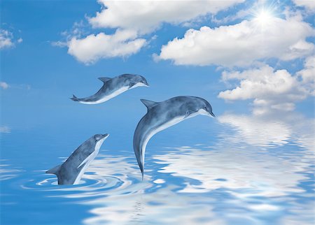 dolphins jumping sun - This image shows 3 generated dolphins Stock Photo - Budget Royalty-Free & Subscription, Code: 400-04398826