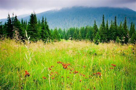 simsearch:400-06925688,k - Beautiful mountains landscape in Carpathian Photographie de stock - Aubaine LD & Abonnement, Code: 400-04399512