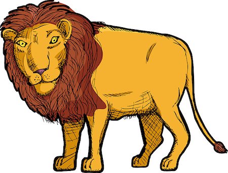 simsearch:400-09051785,k - Drawing of an isolated lion with head turned Fotografie stock - Microstock e Abbonamento, Codice: 400-04399795