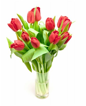 simsearch:400-05104344,k - tulips isolated on white Foto de stock - Super Valor sin royalties y Suscripción, Código: 400-04390011