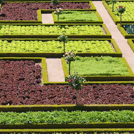 Garden in Villandry, France Stock Photo - Budget Royalty-Free & Subscription, Code: 400-04390086