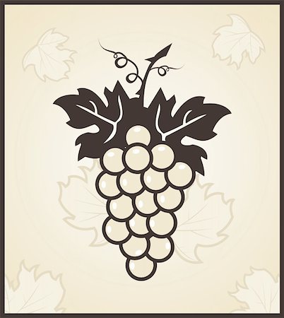 elegant wine labels images - Illustration retro engraving of grapevine - vector Stock Photo - Budget Royalty-Free & Subscription, Code: 400-04390456