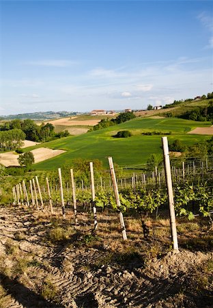 Landscape of Monferrato area in Piedmont region - Italy Stock Photo - Budget Royalty-Free & Subscription, Code: 400-04390616
