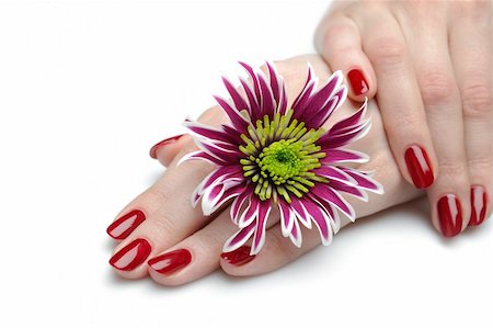 simsearch:400-06061806,k - Beautiful hand with perfect nail red manicure. isolated Stock Photo - Budget Royalty-Free & Subscription, Code: 400-04390829