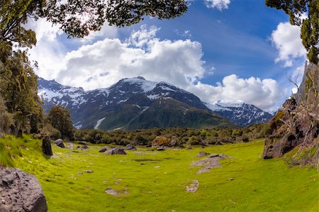 View of a tarn in the mountains covered by bright green moss Photographie de stock - Aubaine LD & Abonnement, Code: 400-04390923