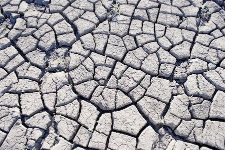 earth surface arid - soil cracked  from  drought Stock Photo - Budget Royalty-Free & Subscription, Code: 400-04391037