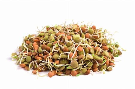 Healthy food.Lentil seeds with sprouts isolated on white Stock Photo - Budget Royalty-Free & Subscription, Code: 400-04391654
