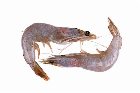 two raw and fresh prawn isolated on white Photographie de stock - Aubaine LD & Abonnement, Code: 400-04391655