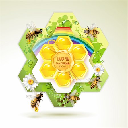 Bees and honeycombs over floral background with rainbow and drops of water Stock Photo - Budget Royalty-Free & Subscription, Code: 400-04391975